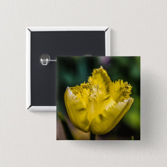 Yellow Tulip 2 Inch Square Button (Front & Back)