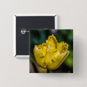 Yellow Tulip 2 Inch Square Button