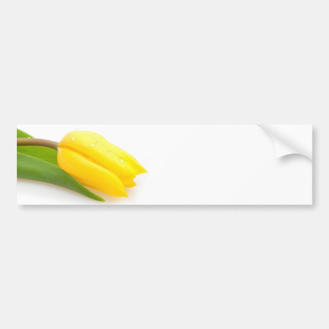 Yellow Tulip Bumper Sticker (Front)