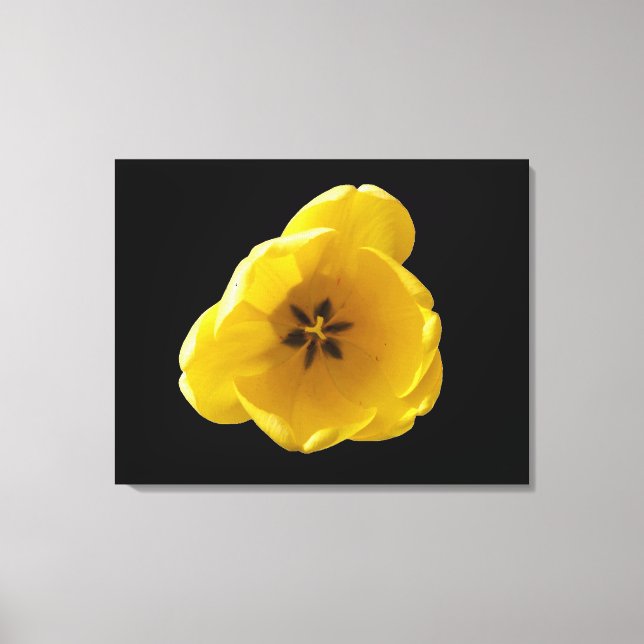 Yellow Tulip Canvas Print (Front)