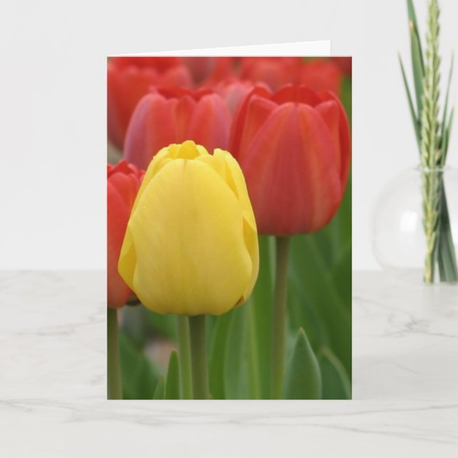 Yellow Tulip Card (Front)