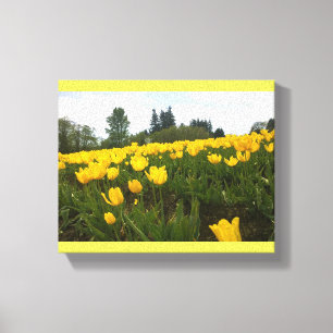 Yellow Tulip Field, Oregon Canvas Print