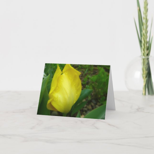 Yellow Tulip in  Spring Rain Note Card (Front)