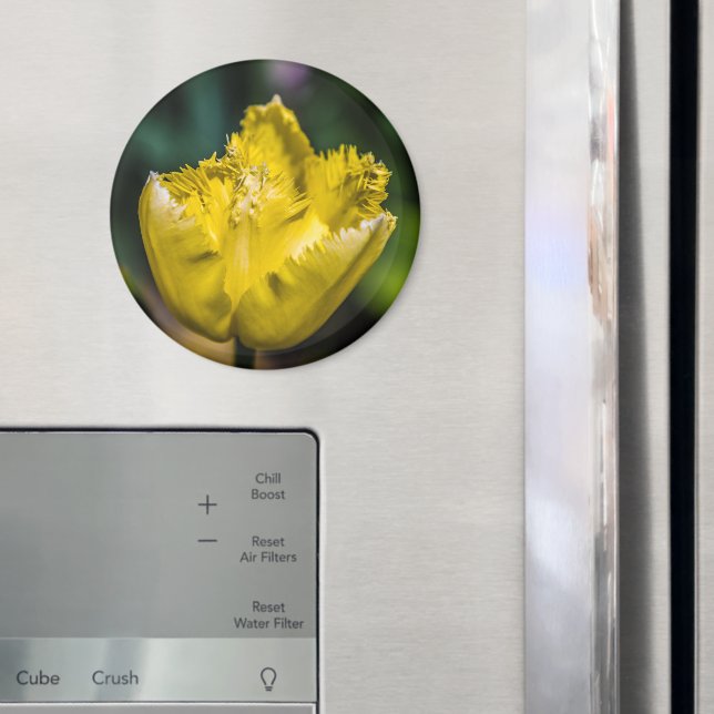 Yellow Tulip Magnet (In Situ (Fridge))