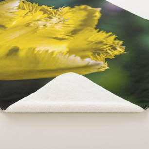 Yellow Tulip Sherpa Blanket