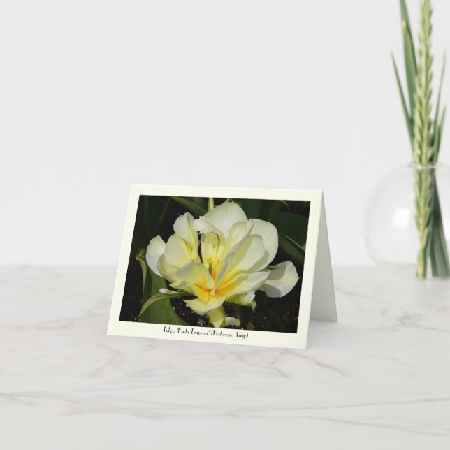 Yellow Tulip Stationary Greeting Note Card (Front)