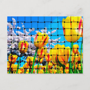 Yellow Tulip Weave Postcard