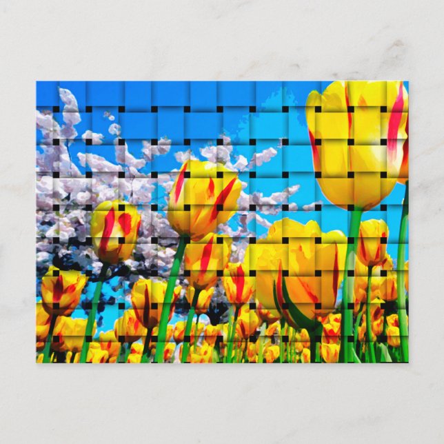 Yellow Tulip Weave Postcard (Front)