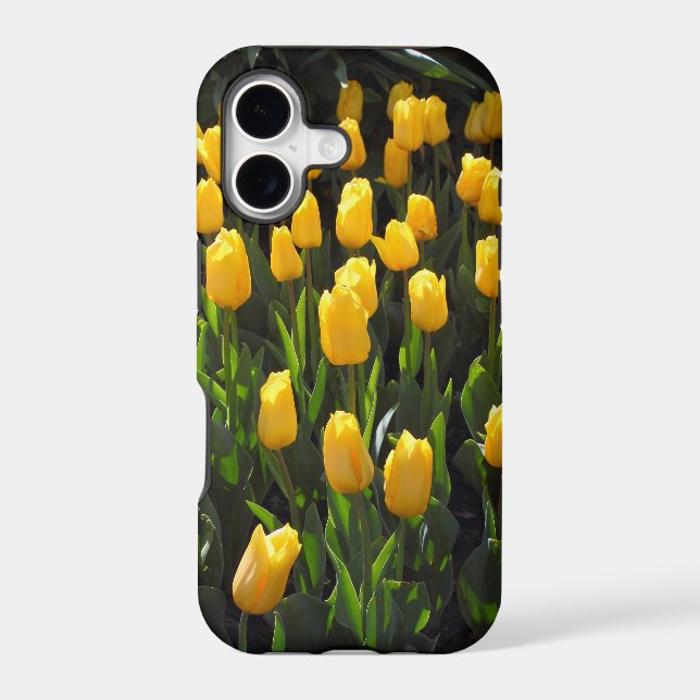Yellow Tulips (Back)