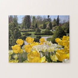 Yellow Tulips from Arboretum Volcji Potok Slovenia Jigsaw Puzzle