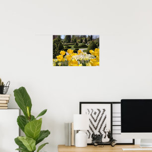 Yellow Tulips from Arboretum Volcji Potok Slovenia Poster