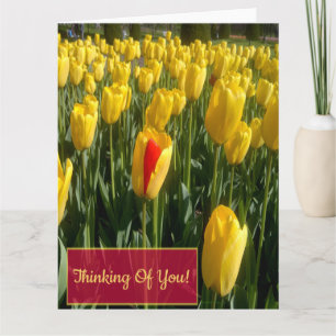 Yellow Tulips greeting card