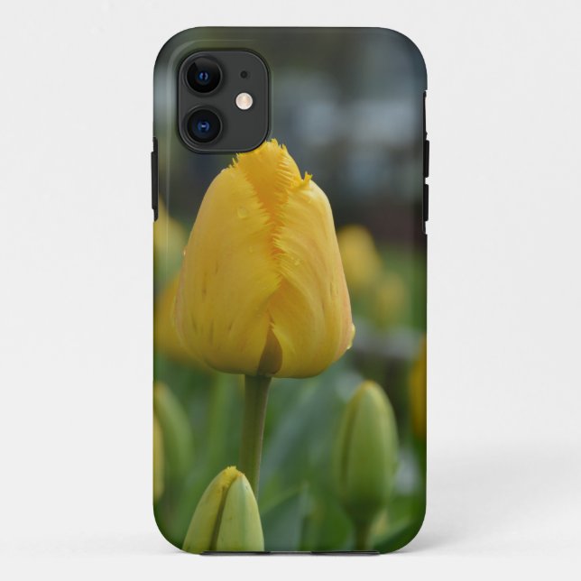 Yellow Tulips in the field Case-Mate iPhone Case (Back)