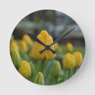 Yellow Tulips in the field Round Clock