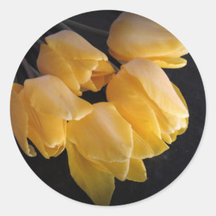 "Yellow Tulips With A Dark Background" Classic Round Sticker
