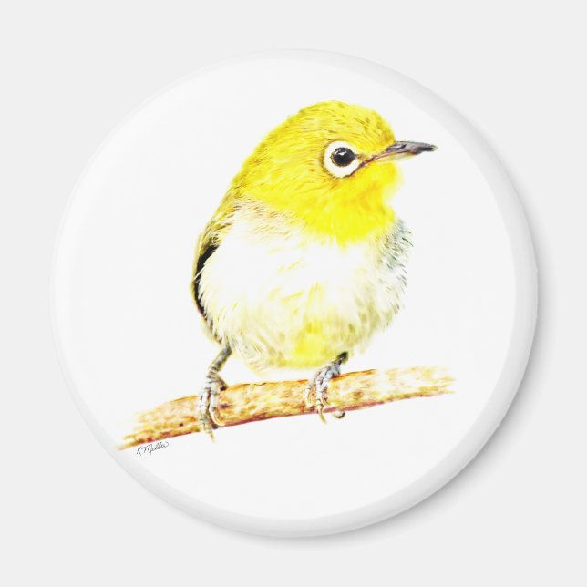 Yellow Viero Magnet (Front)