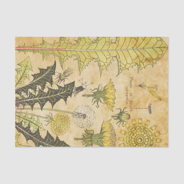 Yellow Vintage French Floral Decoupage  Tissue Paper (Front)