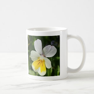 Yellow viola flower coffee mug