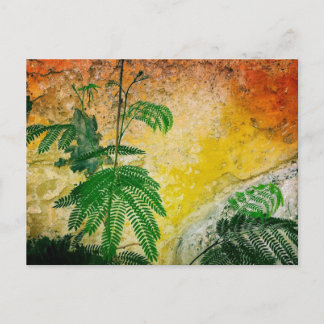 Yellow wall with plant postcard
