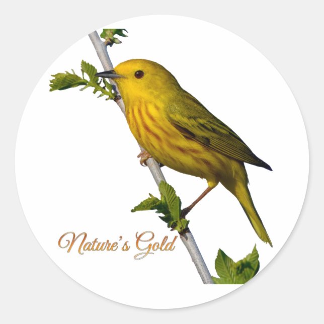 Yellow Warbler “Nature’s Gold” Printed Art Card Classic Round Sticker (Front)