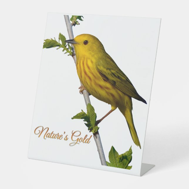 Yellow Warbler “Nature’s Gold” Printed Art Card Pedestal Sign (Front)
