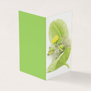 Yellow water Lily pencil sketch Business Card