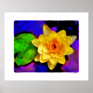 Yellow Water Lily , print