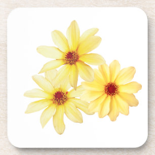 Yellow watercolour dahlia summer flower coaster