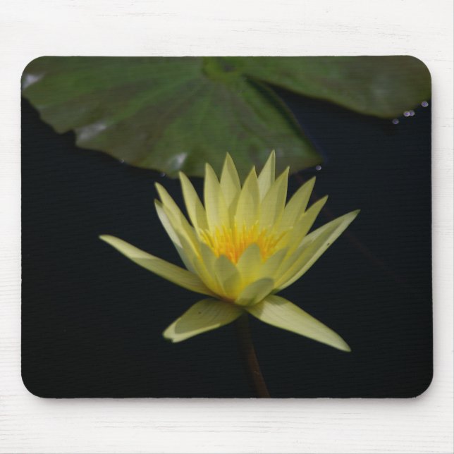 Yellow Waterlily mousepad (Front)