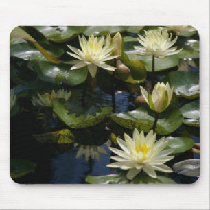 Yellow Waterlily Mousepad