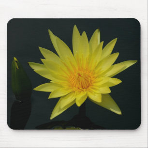Yellow Waterlily mousepad