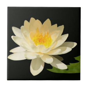 Yellow Waterlily Tile
