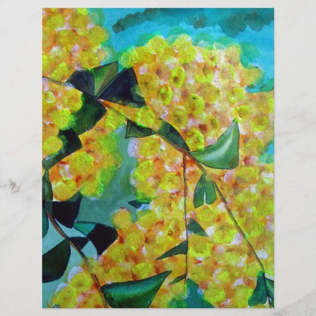 Yellow Wattle native Australian flower art (Front)