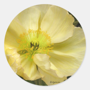 Yellow Wedding Flowers Invitation Seals