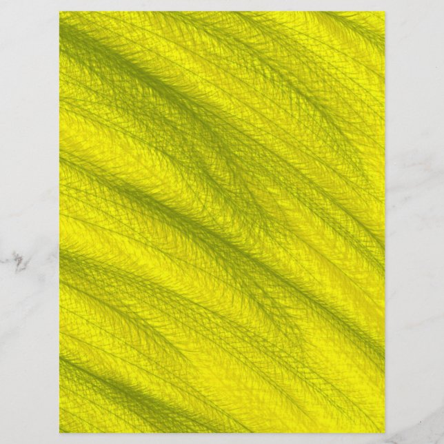 Yellow Wheat Field Bulk Scrapbook Paper Pages (Front)