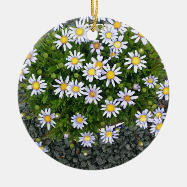 Yellow White Margarita Flowers with Grey Pebbles Ceramic Ornament (Front)