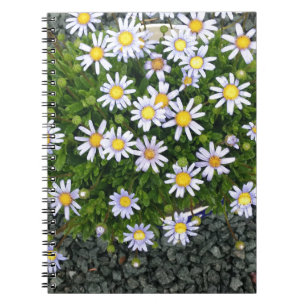 Yellow White Margarita Flowers with Grey Pebbles Notebook