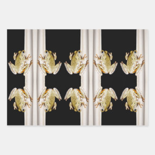 Yellow White Tree Frog on Windowsill Wrapping Paper Sheet