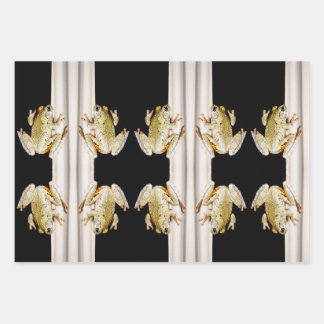 Yellow White Tree Frog on Windowsill Wrapping Paper Sheet