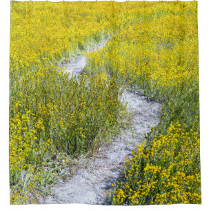 Yellow Wildflower Field