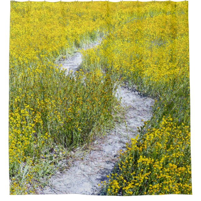 Yellow Wildflower Field (Front)