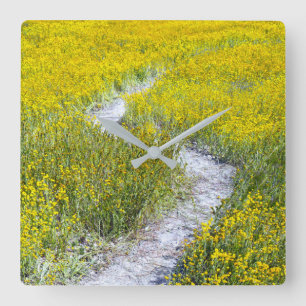 Yellow Wildflower Field Square Wall Clock