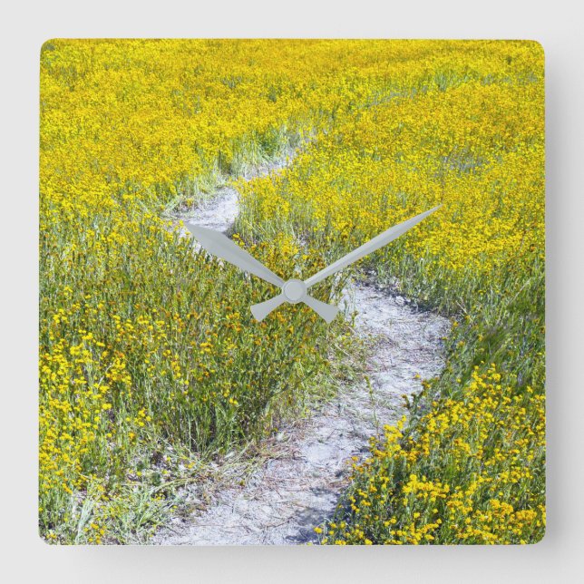 Yellow Wildflower Field Square Wall Clock (Front)