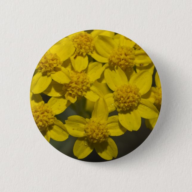 Yellow Wildflowers 2 Inch Round Button (Front)