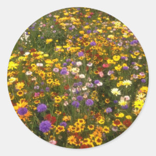 Yellow Wildflowers flowers Classic Round Sticker