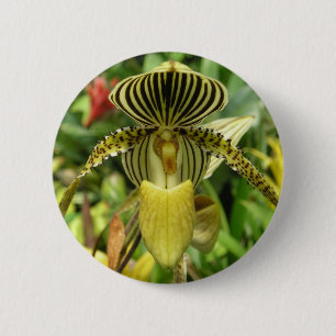 Yellow Zebra Stripes Orchid 2 Inch Round Button