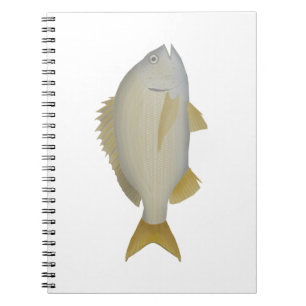 Yellowfin Bream Notebook