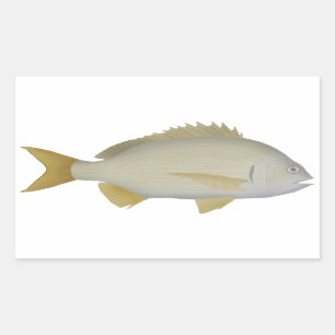 Yellowfin Bream Sticker