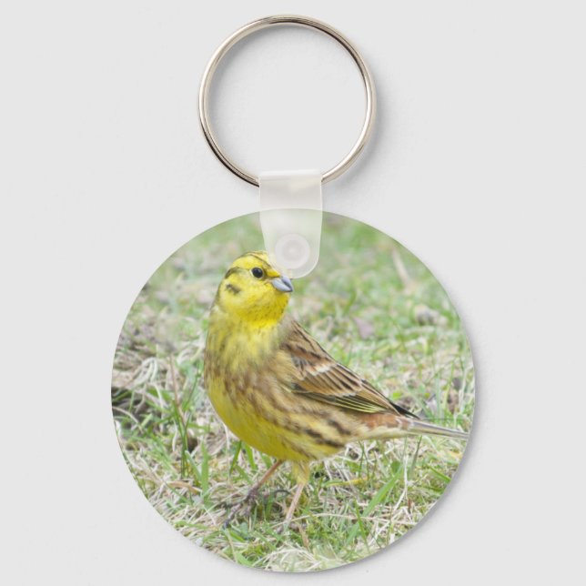 Yellowhammer Yellow Bird Keychain (Front)