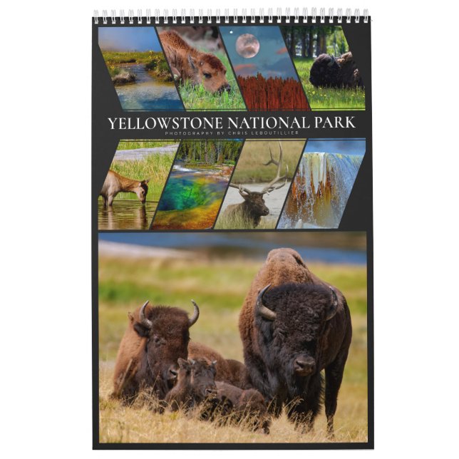 Yellowstone A Very Special Place Calendar (Cover)